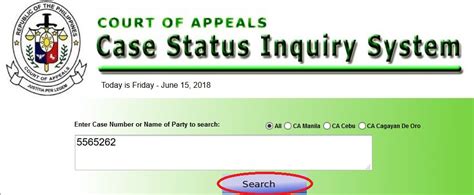 court of appeals case status inquiry